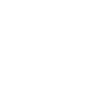 Dear Santa They Did It