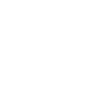 Organized People Are Just Too Lazy Too Look For Things