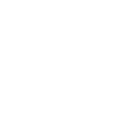 Smoke Weed Everyday